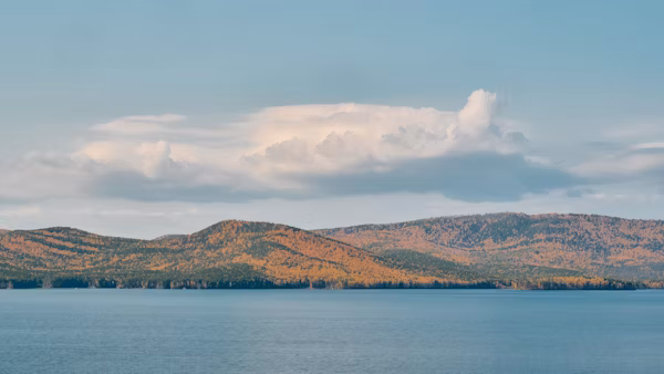 Lake Naivasha