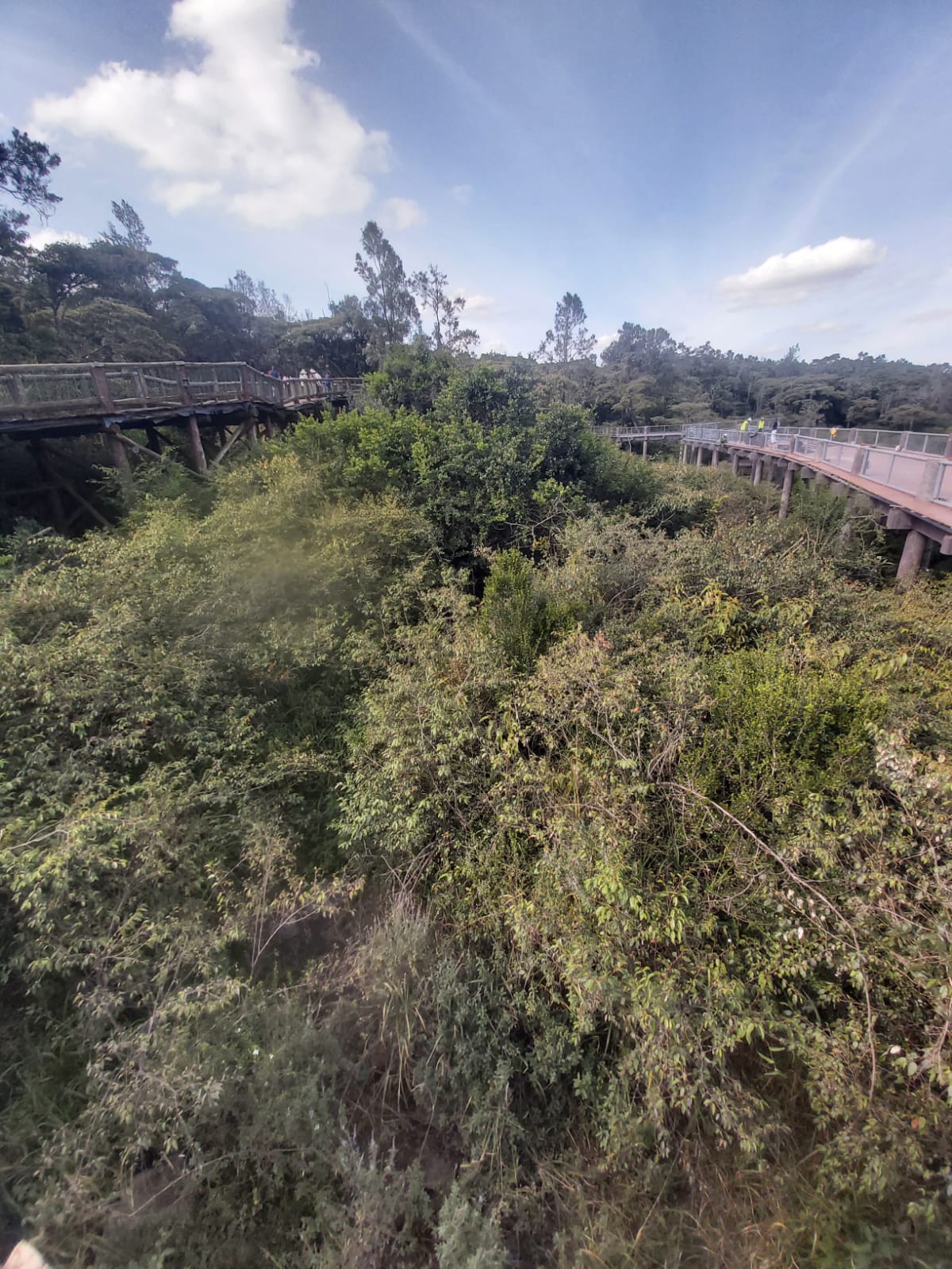 Nairobi Safari Walk