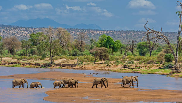 Samburu National Reserve