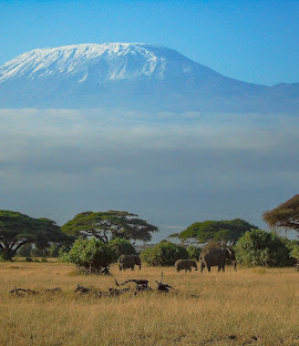 Amboseli National Park